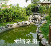 中國最大的采石基地-特供黃蠟石、駁岸假山石