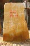 1.4米高立石園林景觀黃蠟石  編號(hào)D3987