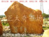  3.1米寬臥石景觀黃蠟石、刻字招牌石 編號2212