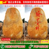  3米高園林景觀立石、刻字黃蠟石 編號5856