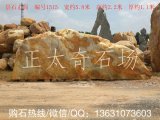 5.8米寬臥石黃蠟石、小區(qū)題名石 編號(hào)1515