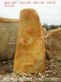 2.6米高立石景觀黃蠟石 題名迎賓路牌石 編號(hào)L-