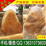  1.8米高立石 擺設景觀黃蠟石 編號B-4555