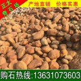 別墅園林公園駁岸、草坪路沿用景觀黃蠟石