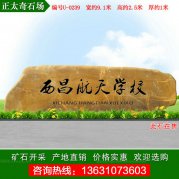 9.1米廣東大型刻字黃蠟石 單位校園門牌石 編號