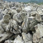 天然英德英石、假山造景必用石
